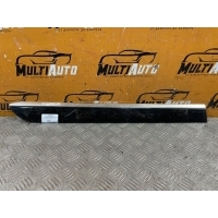Молдинг двери Задн. Mercedes ML W164 2005-2011 a1646905462