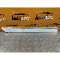 Молдинг двери Задн. Mercedes ML W164 2005-2011 a1646905462