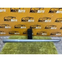 Молдинг двери Перед. Mercedes A-class W169 2004-2012 A1696900262