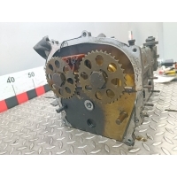 Головка блока цилиндров Volkswagen Polo 2008