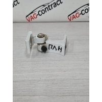 Петля двери нижняя Skoda Rapid 2020 8K0831401K