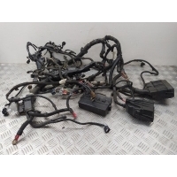 Проводка двигателя Renault Kadjar 1 (2015-2018) 2016 240119143R