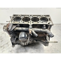 Блок цилиндров двигателя (картер) Renault Megane II (2002-2008) 2003