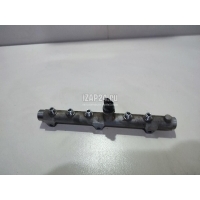 Рейка топливная (рампа) Hyundai-Kia Sorento (2002 - 2009) 314004A450