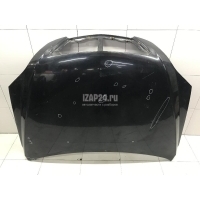 Капот Hyundai-Kia Sorento (2002 - 2009) 664003E010
