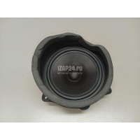 Динамик BMW X5 E53 (2000 - 2007) 65138380581