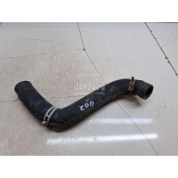 Патрубок радиатора Ford Fusion (2002 - 2012) 1546445