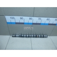 Распредвал выпускной Hyundai-Kia Sorento (2002 - 2009) 242004A400