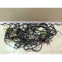 Проводка (коса) Jaecoo J7 2023> 806010179AA