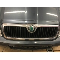 Решетка радиатора радиатора skoda октавия 1 i 1996-2010 цвет 9901