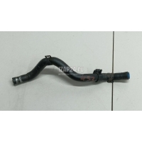 Трубка вентиляционная VAG A3 [8PA] Sportback (2004 - 2013) 1K0122447EQ