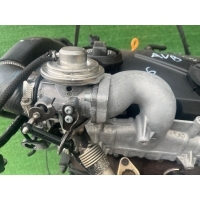 Заслонка дроссельная Volkswagen Passat B5 2001 038129637