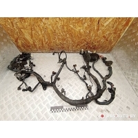 Проводка двигателя Toyota RAV4 2 (XA20) 2003 2682XA1,8212142741