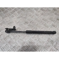 амортизатор капота BMW 7 F01/F02 2012 7289753