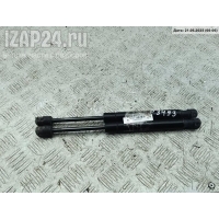 Амортизатор крышки (двери) багажника Volkswagen Passat B5+ (GP) 2001
