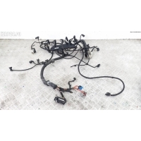Проводка двигателя BMW X3 E83 (2003-2010) 2006