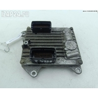 Блок управления двигателем (ДВС) Opel Signum (2003-2008) 2004 55351342