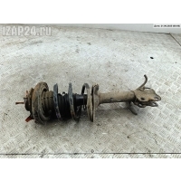 Стойка подвески передняя левая Nissan X-Trail (2001-2007) T30 2005