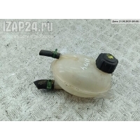 Бачок расширительный Dacia (Renault) Lodgy 2012 217107259R