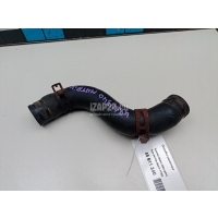 Патрубок радиатора Hyundai-Kia Matrix (2001 - 2010) 2541117202