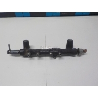 Рейка топливная (рампа) Nissan Pathfinder (R51) (2005 - 2014) 175205X00A