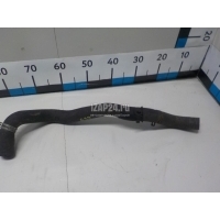 Патрубок радиатора Nissan Pathfinder (R51) (2005 - 2014) 21503EB300