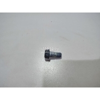 Болт суппорта Hyundai-Kia Starex H1 (1997 - 2007) 581554A200