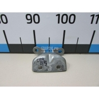 Петля двери Hyundai-Kia Sonata V (NF) (2005 - 2010) 794203K000