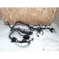 Проводка двигателя Toyota RAV4 2 (XA20) 2003 8212142741