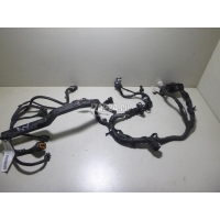 Проводка (коса) Hyundai-Kia RIO (2005 - 2011) 914001G170