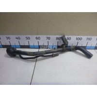Горловина топливного бака Nissan Note (E11) (2006 - 2013) 172219U000