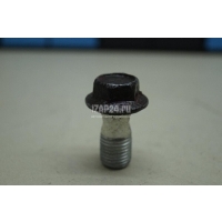 Болт Nissan Note (E11) (2006 - 2013) 21625JL00A