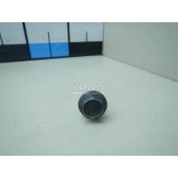 Болт Nissan Note (E11) (2006 - 2013) 21625JL00A
