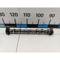 Распредвал впускной VAG Q7 [4L] (2005 - 2015) 95810504110