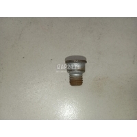 Болт VAG Q7 [4L] (2005 - 2015) N91028202