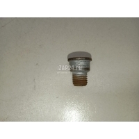 Болт VAG Q7 [4L] (2005 - 2015) N91028202