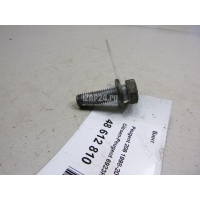 Винт Citroen-Peugeot 206 (1998 - 2012) 6923H3