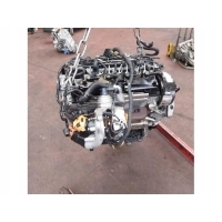 Volkswagen oe cay