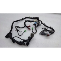 Проводка двери Land Rover Range Rover Evoque L538 2018 LR033802, BJ3214631CBD