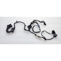 Проводка двери Land Rover Range Rover Evoque L538 2018 LR028677, BJ3214633BC