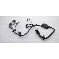 Проводка двери Land Rover Range Rover Sport L320 2013 LR030148, CH3214633AC