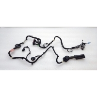 Проводка двери Land Rover Discovery Sport L550 2022 LR067066, FK7214631ABC, LR076381