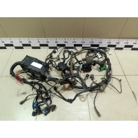 Проводка (коса) FORD Focus III 2011> 1907459