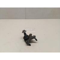 Опора шаровая правая передней подвески VAG Passat [B6] (2005 - 2010) 3C0407366B