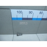 Болт суппорта VAG Passat [B6] (2005 - 2010) N91084901