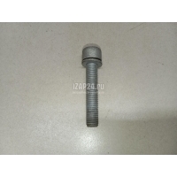 Болт суппорта VAG Passat [B6] (2005 - 2010) N91168901