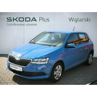 Skoda fabia салон польша сервис aso i wlasciciel двигатель mpi fv ндс 23
