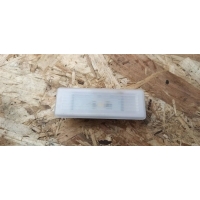 Плафон салонный BMW X3 G01 2020 63319313574
