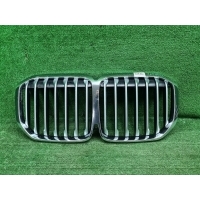 Решетка радиатора Bmw X7 G07 (2019-2022) 51138094566
