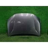 Капот Jetour Dashing (2022-Н.В.) F168402010CADY